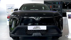 Limo Green - Ảnh 15